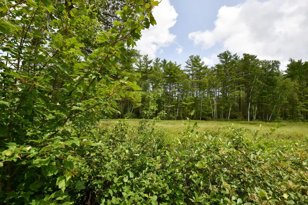 10 Witham Island Ebeemee Twp ME 04414