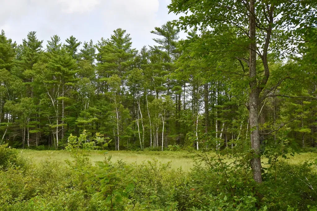 10 Witham Island Ebeemee Twp ME 04414
