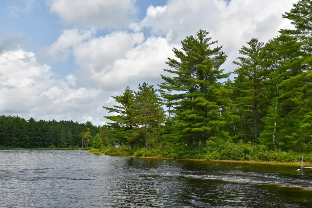 10 Witham Island Ebeemee Twp ME 04414