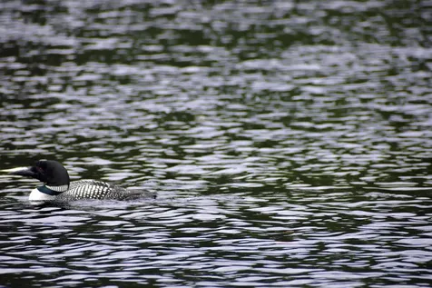 10 Witham Island Ebeemee Twp ME 04414