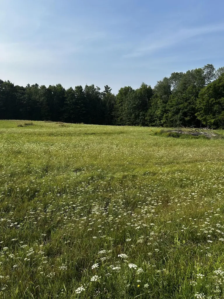 Tbd Bond Road Corinna ME 04928