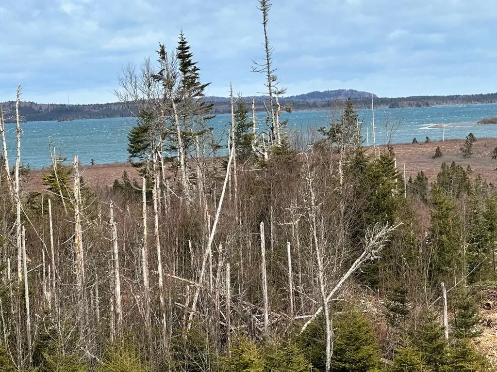 25A-14 Blackwood Lane Lubec ME 04652