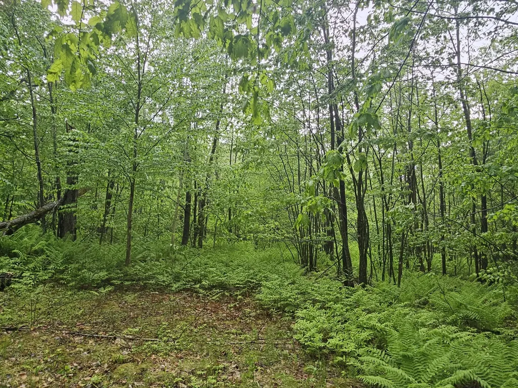 0 Fayette Ridge Road Fayette ME 04349
