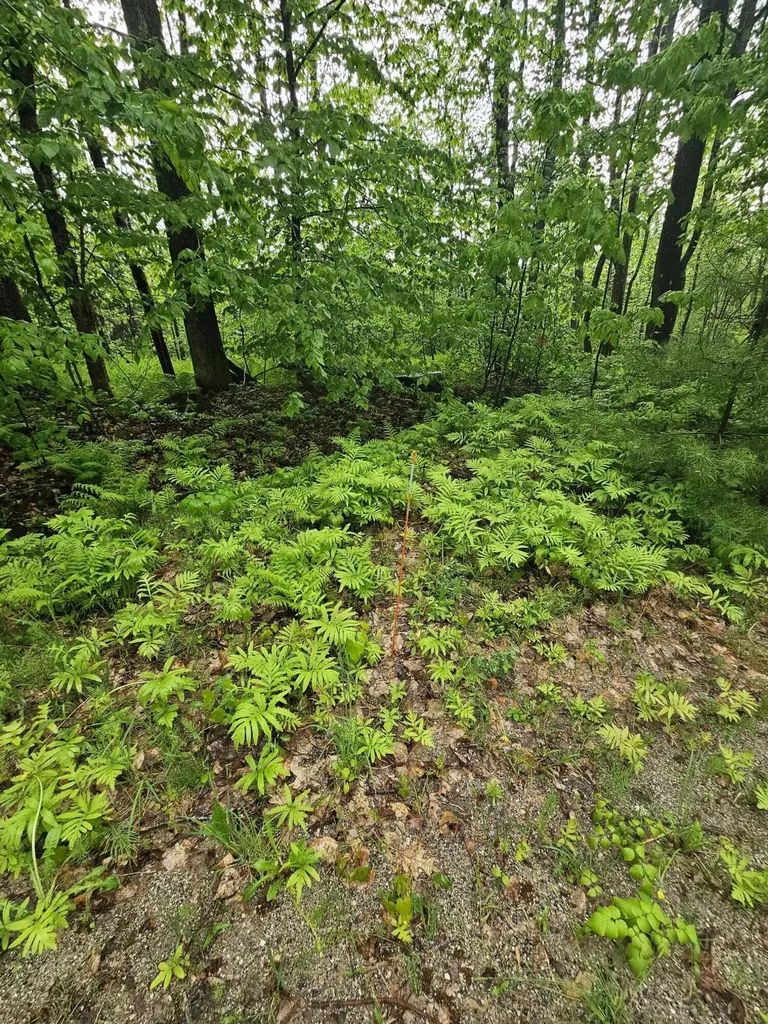 0 Fayette Ridge Road Fayette ME 04349