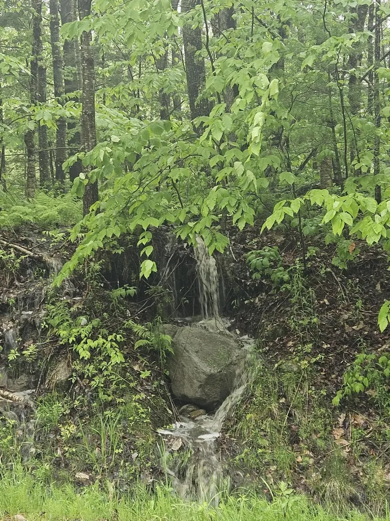 0 Fayette Ridge Road Fayette ME 04349