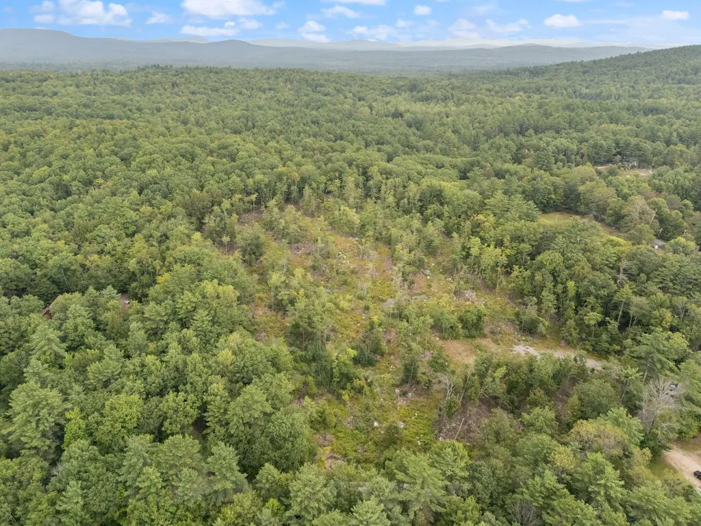 Parcel 1 Map 49 Lot 16.2 Sanborn Road Newfield ME 04095