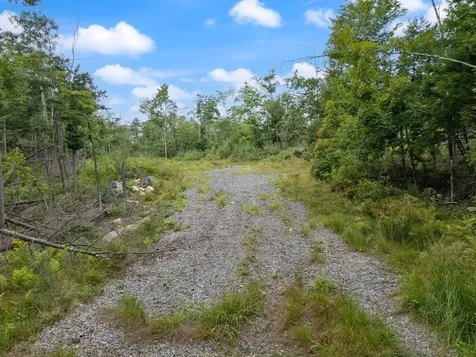 Parcel 1 Map 49 Lot 16.2 Sanborn Road Newfield ME 04095