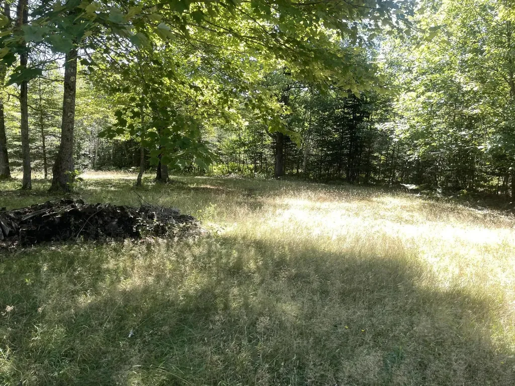 208 Chadbourne Road Harmony ME 04942