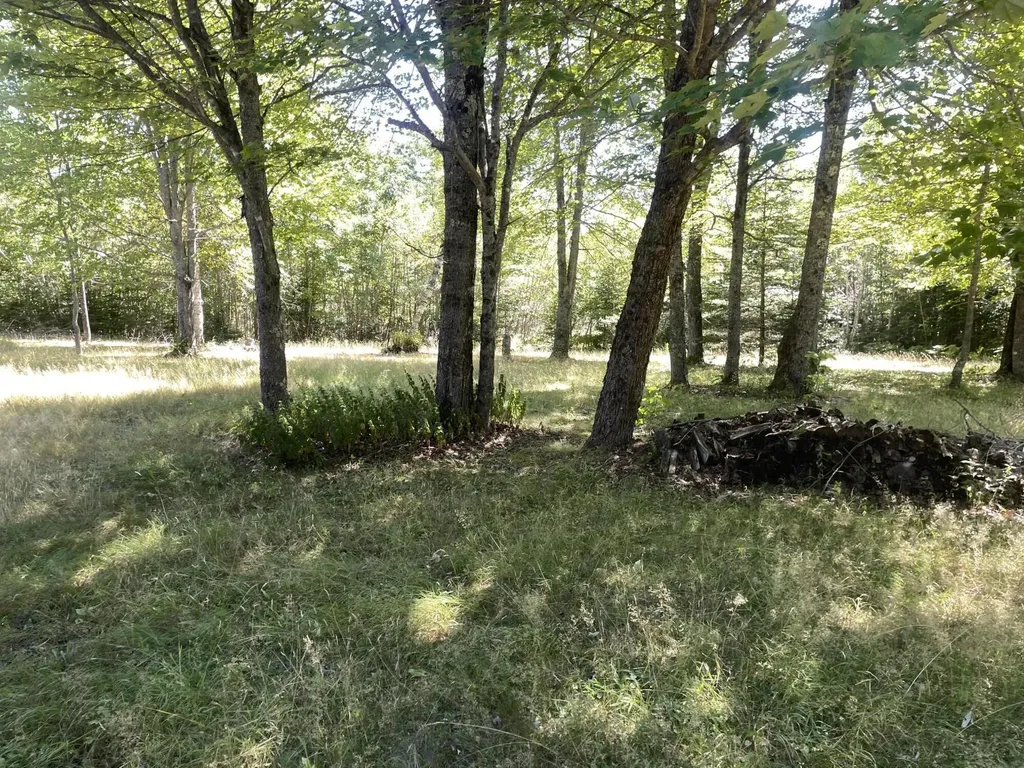 208 Chadbourne Road Harmony ME 04942