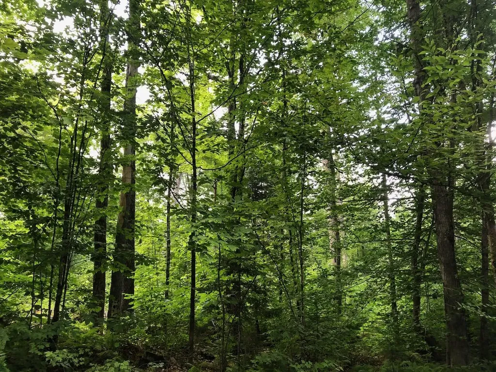 06 Swett Brook Lane Weld ME 04285