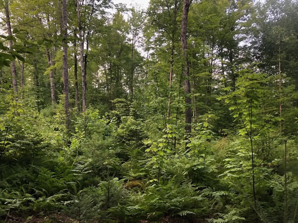06 Swett Brook Lane Weld ME 04285