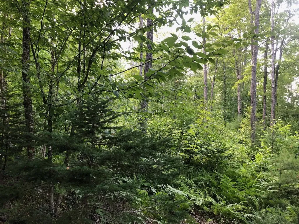 06 Swett Brook Lane Weld ME 04285