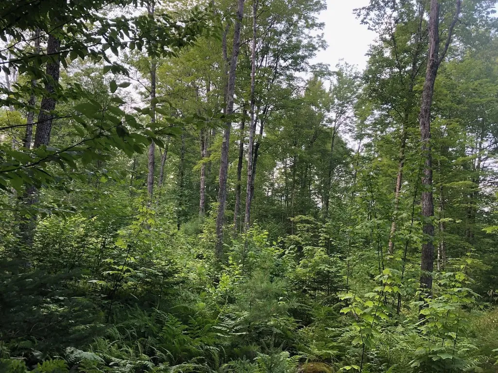 06 Swett Brook Lane Weld ME 04285