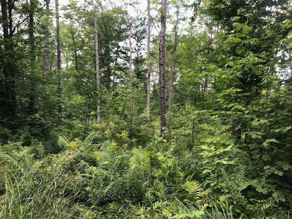 06 Swett Brook Lane Weld ME 04285