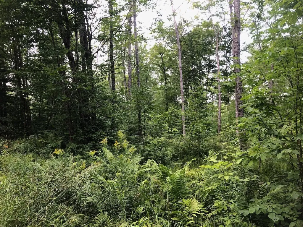 06 Swett Brook Lane Weld ME 04285
