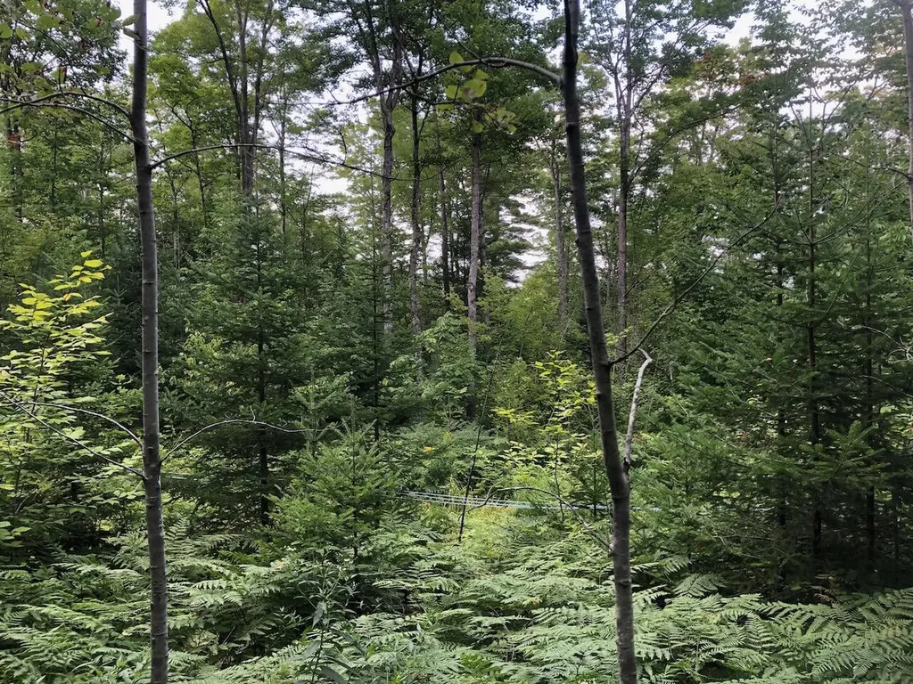06 Swett Brook Lane Weld ME 04285