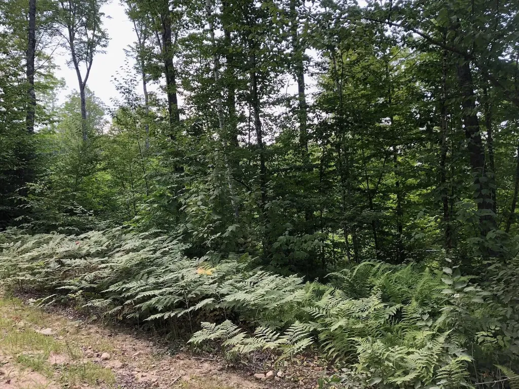 06 Swett Brook Lane Weld ME 04285