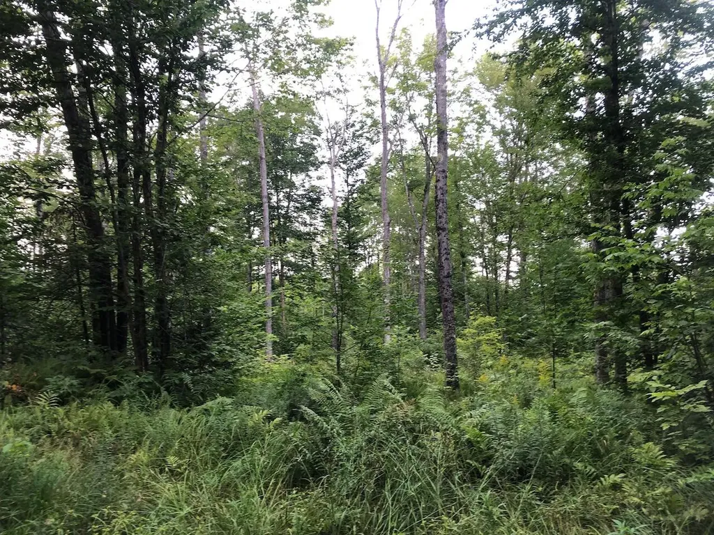 06 Swett Brook Lane Weld ME 04285