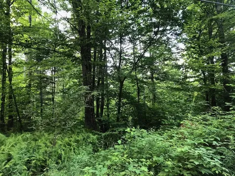 06 Swett Brook Lane Weld ME 04285