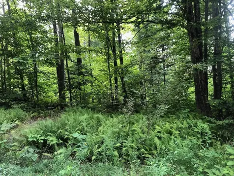 06 Swett Brook Lane Weld ME 04285