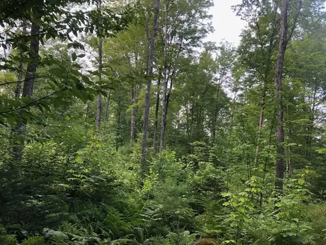 06 Swett Brook Lane Weld ME 04285