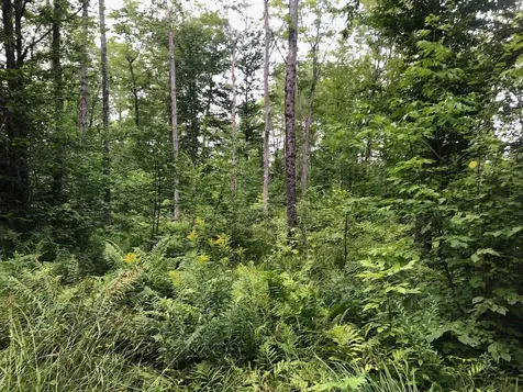 06 Swett Brook Lane Weld ME 04285