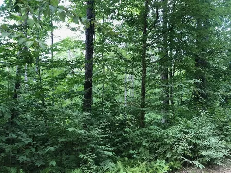 06 Swett Brook Lane Weld ME 04285