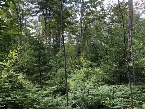 06 Swett Brook Lane Weld ME 04285