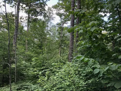 06 Swett Brook Lane Weld ME 04285