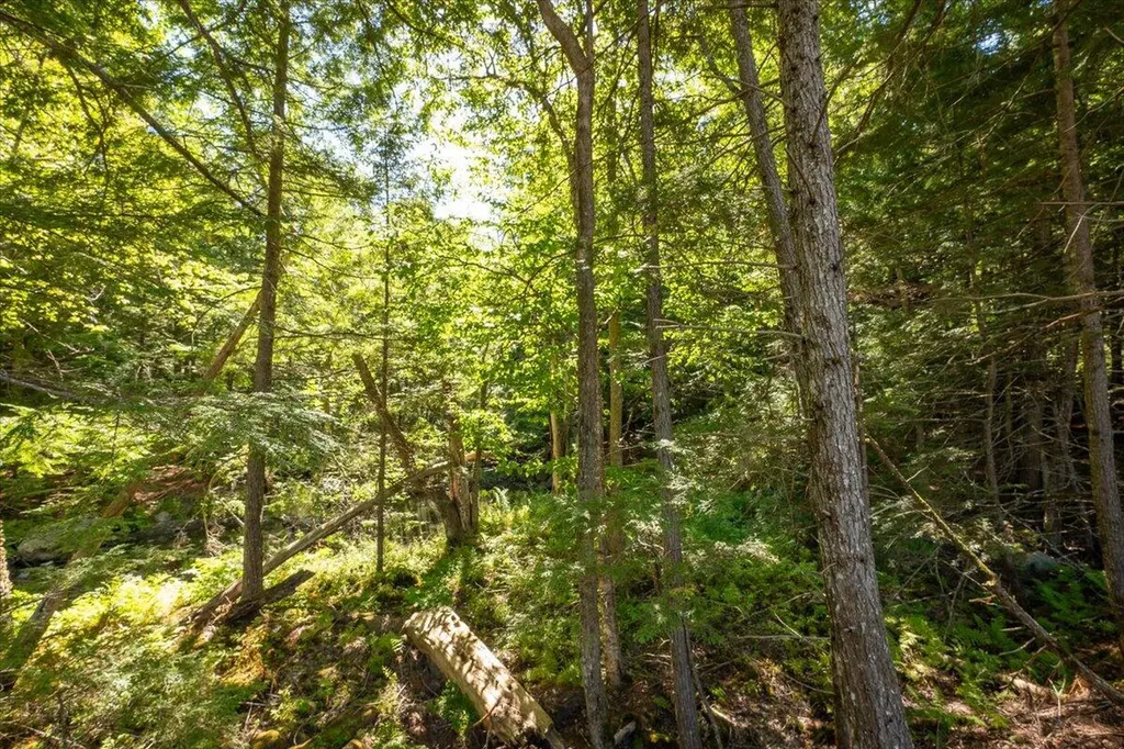 Map 22 Lot 25, Part Of Lot 27 Jefferson ME 04348