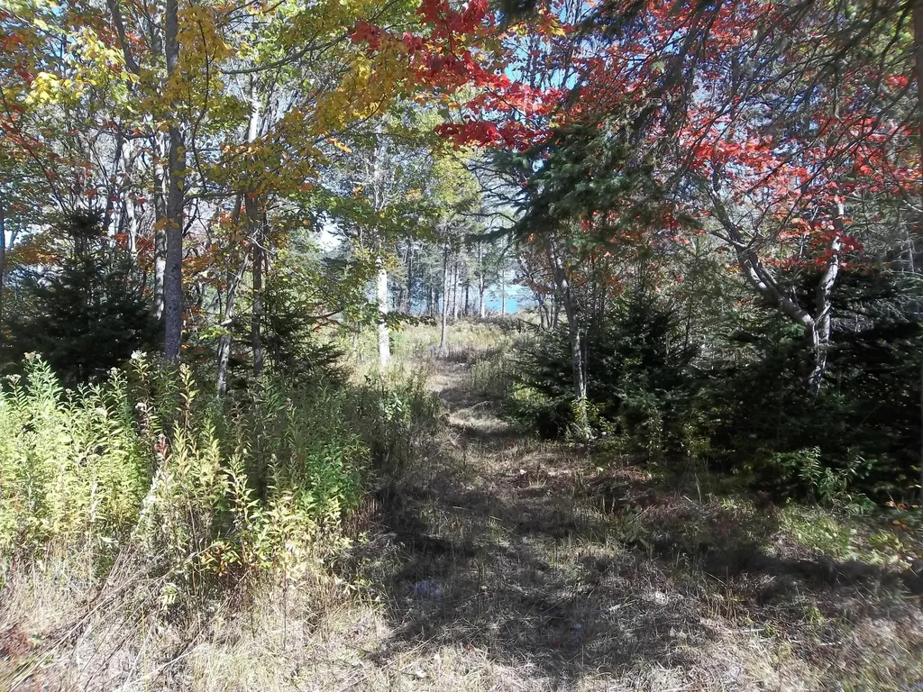 17 Indian Road Eastport ME 04631