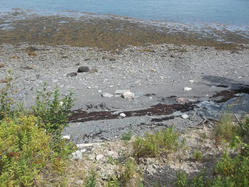 17 Indian Road Eastport ME 04631