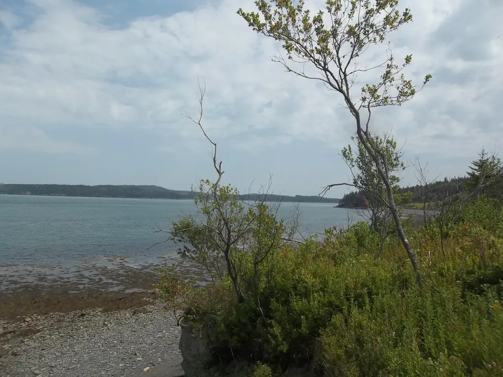 17 Indian Road Eastport ME 04631