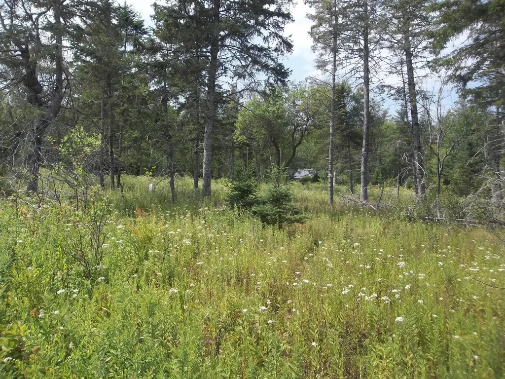 17 Indian Road Eastport ME 04631
