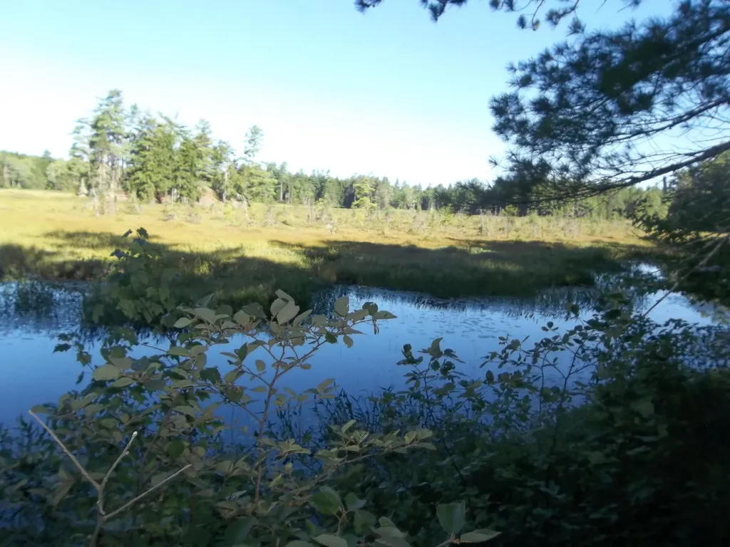 Lot 12 Hayward Point Road Day Block Twp ME 04654