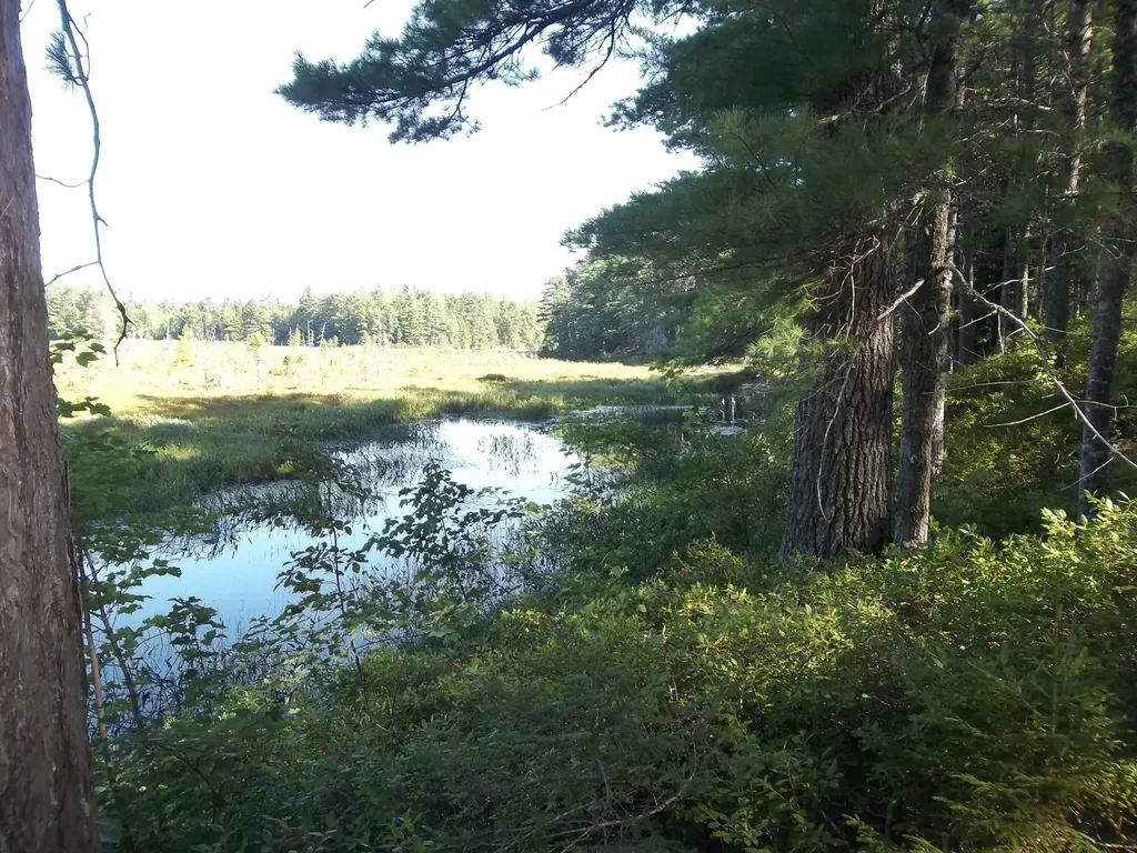 Lot 12 Hayward Point Road Day Block Twp ME 04654