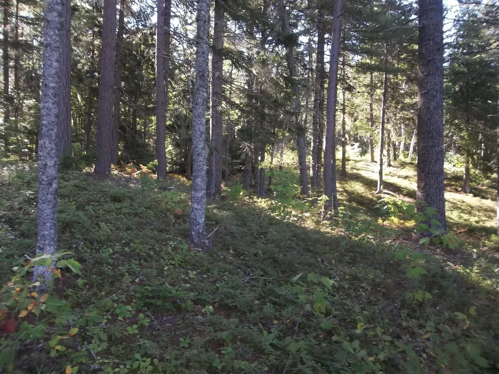 Lot 12 Hayward Point Road Day Block Twp ME 04654