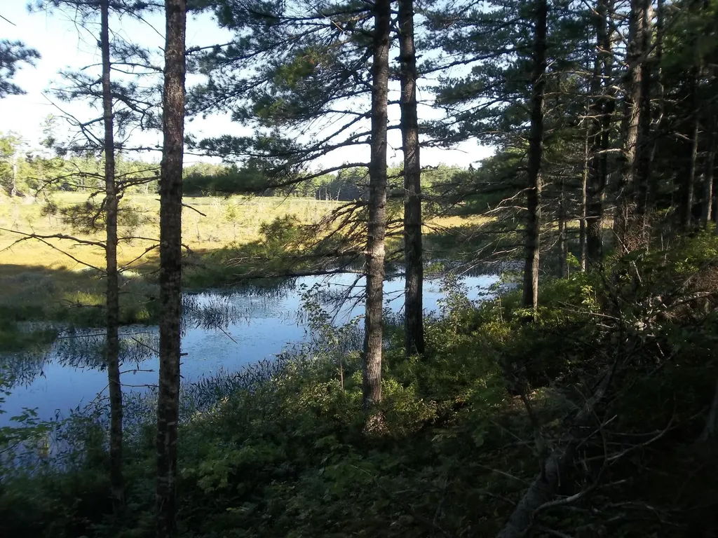 Lot 12 Hayward Point Road Day Block Twp ME 04654
