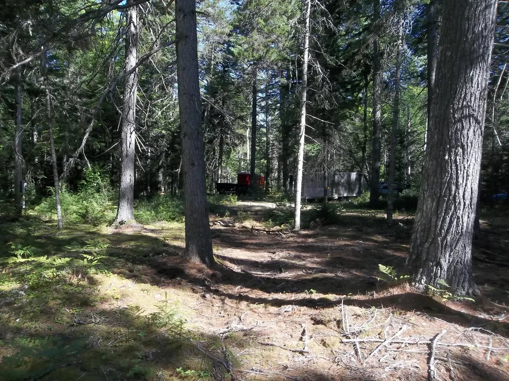 Lot 12 Hayward Point Road Day Block Twp ME 04654