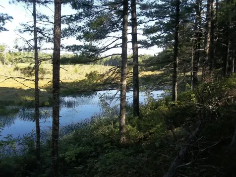 Lot 12 Hayward Point Road Day Block Twp ME 04654