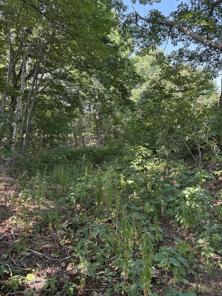 33 Veterans Highway Brooks ME 04921