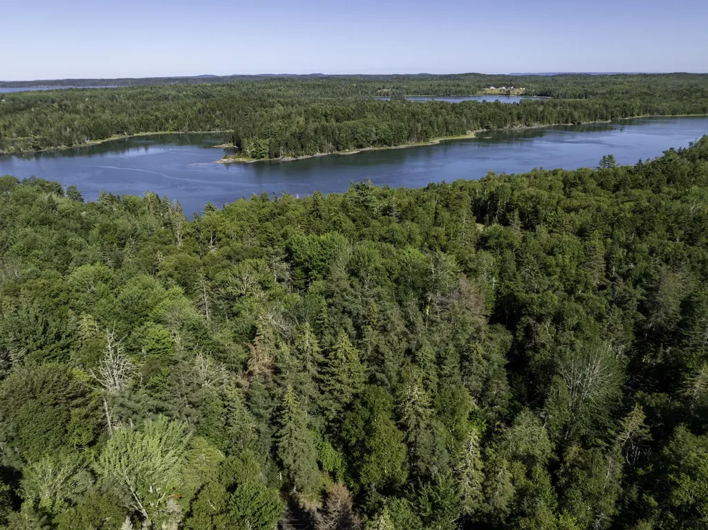 Lot 48 Coffins Neck Road Lubec ME 04652