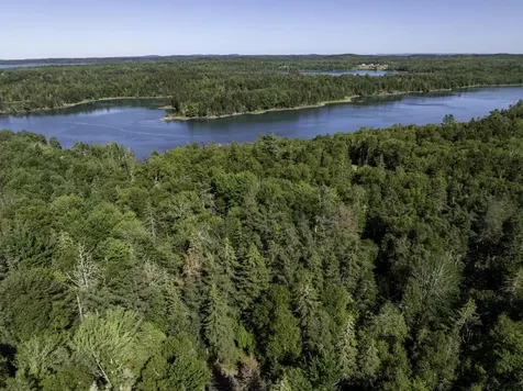 Lot 48 Coffins Neck Road Lubec ME 04652