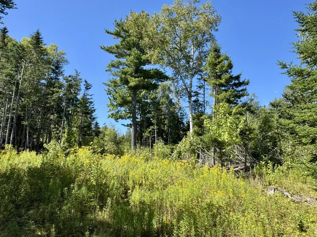 Lot 13 Red Rock Estates Pembroke ME 04666