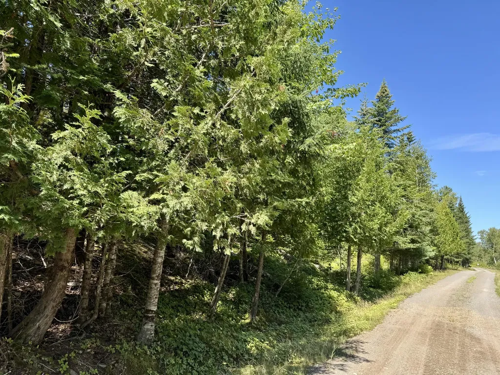 Lot 13 Red Rock Estates Pembroke ME 04666