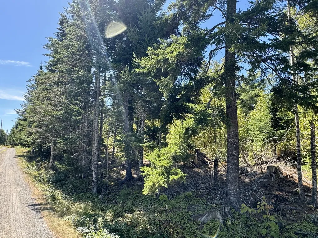 Lot 13 Red Rock Estates Pembroke ME 04666