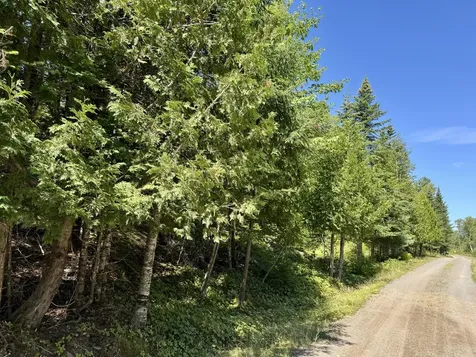 Lot 13 Red Rock Estates Pembroke ME 04666