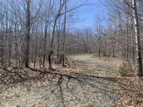 Lot 30 Jellison Hill Road Dedham ME 04429