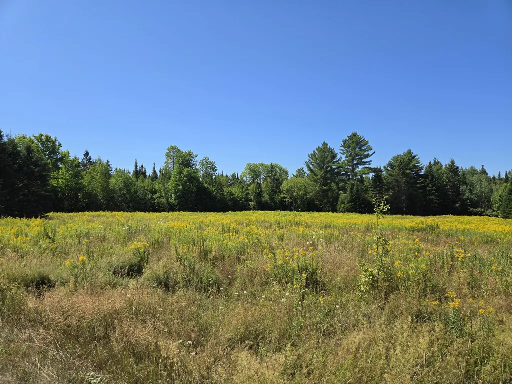 Off Osgood Road Springfield ME 04487