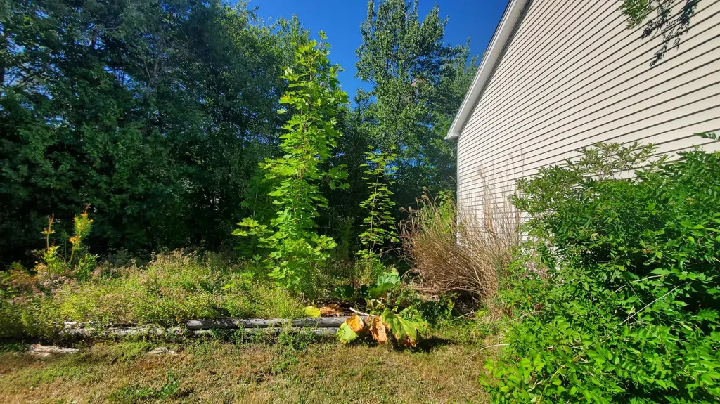 41 Dana Drive Bangor ME 04401